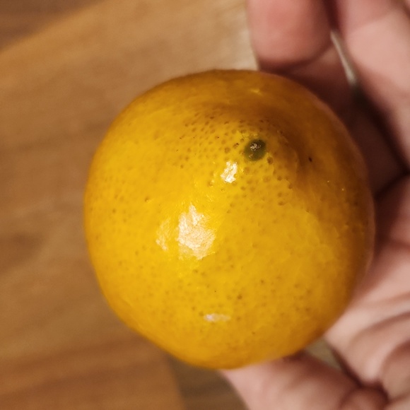 Realistic Faux Lemons, Set of Four - Picture 10 of 12